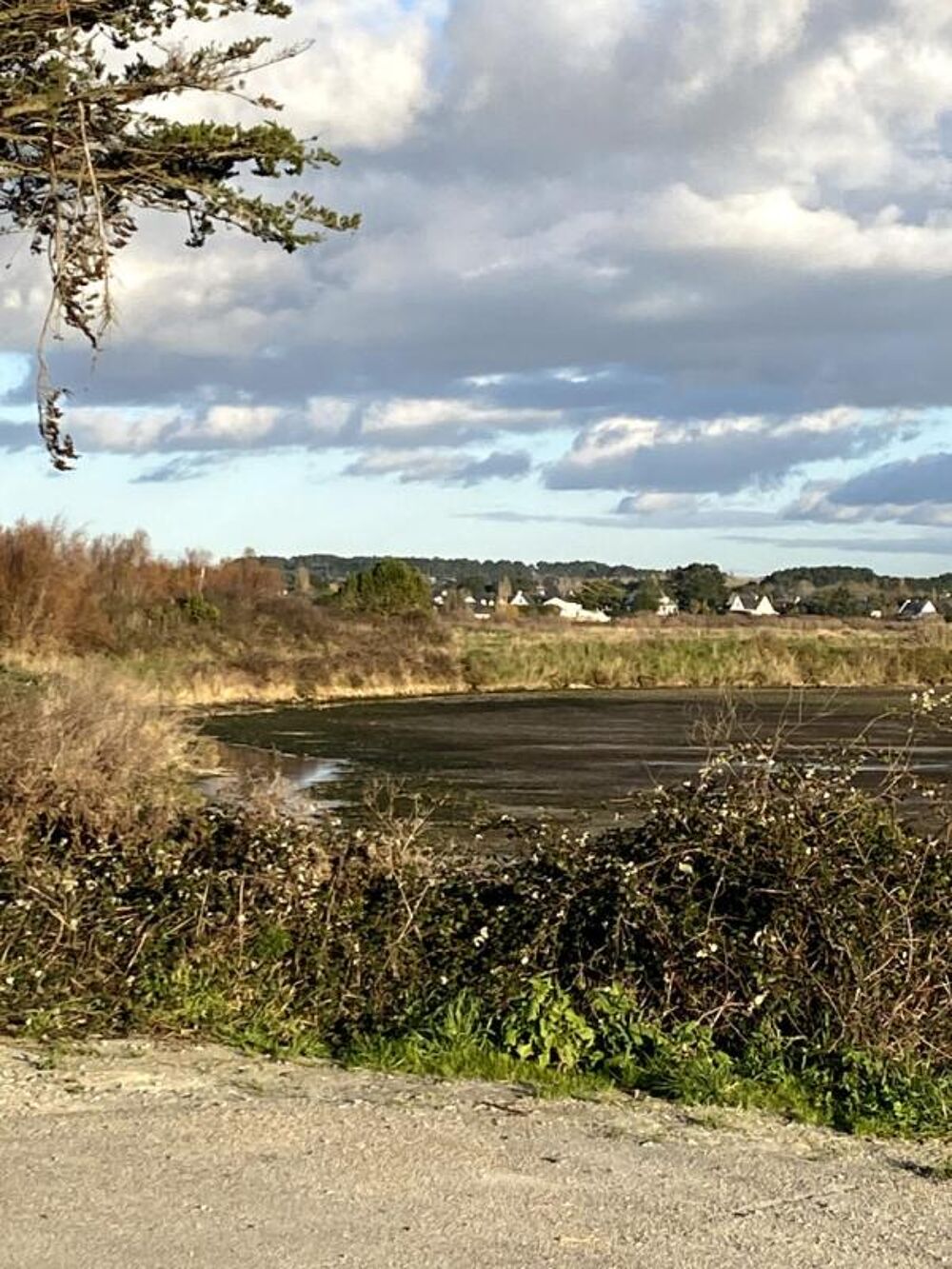 VILLAGE PROCHE LA BAULE GRANDE MAISON DE BOURG AVEC DE BEAUX VOLUMES ET BEAUCOUP DE CHARME