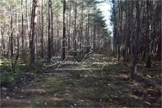  Propri�t�/ch�teau � vendre 12 pi�ces 280 m�