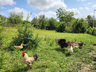  Terrain  vendre 1026 m