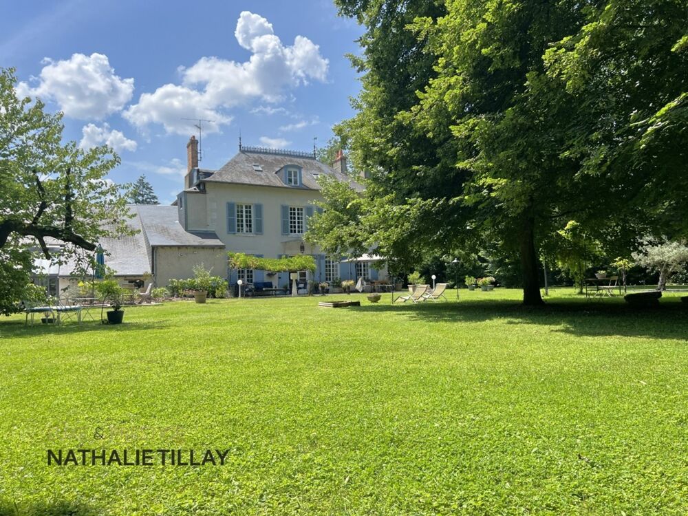 Vente Propriété/Château Saint-Jean-le-Blanc, proche Orleans, à vendre, maison de Maitre du XIXème de 423 m² habitables, avec piscine, parc arboré de 4 6 Saint jean le blanc