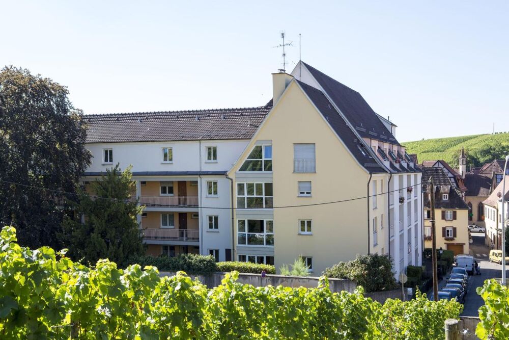 Location Appartement 54700404 - Appartement - F1 - Ribeauvillé (68150) Ribeauville
