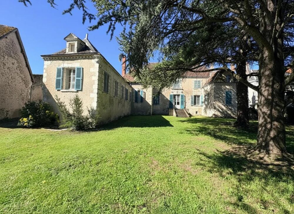 Vente Hôtel particulier Majestueux Hôtel Particulier à Châtillon-sur-Indre Chatillon sur indre