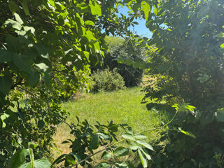  Maison � vendre 14 pi�ces 310 m�