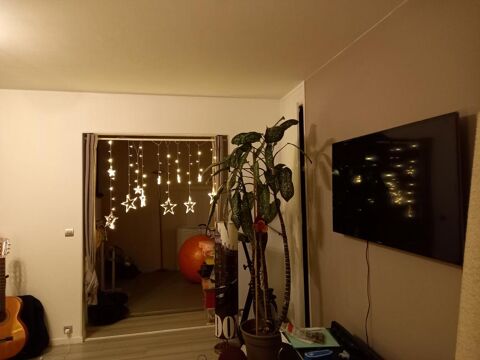  Appartement � louer 1 pi�ce 11 m�