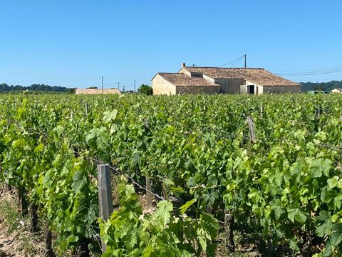 Excellence &agrave; Saint-&Eacute;milion : Domaine viticole prestigieux avec r&eacute;sidence d'exception 3330000 33330 Saint emilion