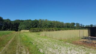  Terrain � vendre 1030000 m�