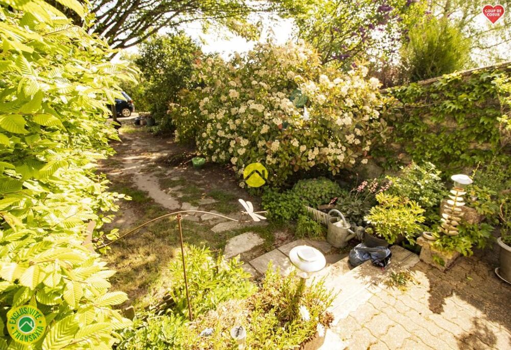 Vente Maison MAISON MITOYENNE DE CHARME Aubigny sur nere