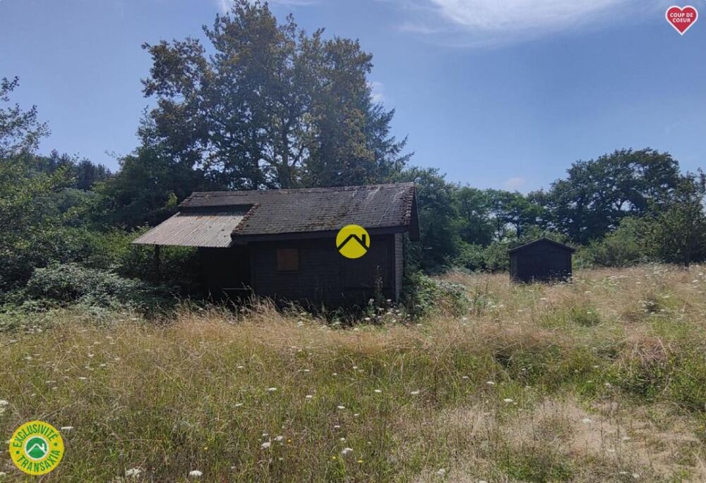 Vente Terrain PROPRIETE CHASSE ET PECHE Mornay sur allier