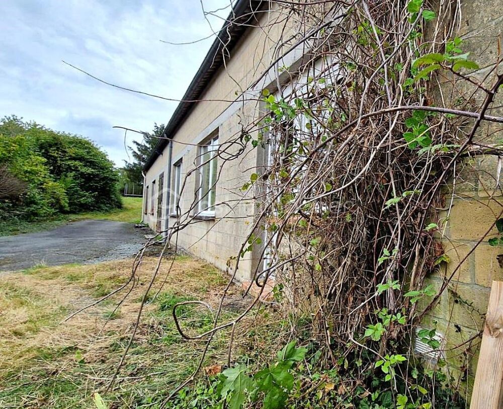 Vente Immeuble Batiment Artisanal Saint pierre des nids