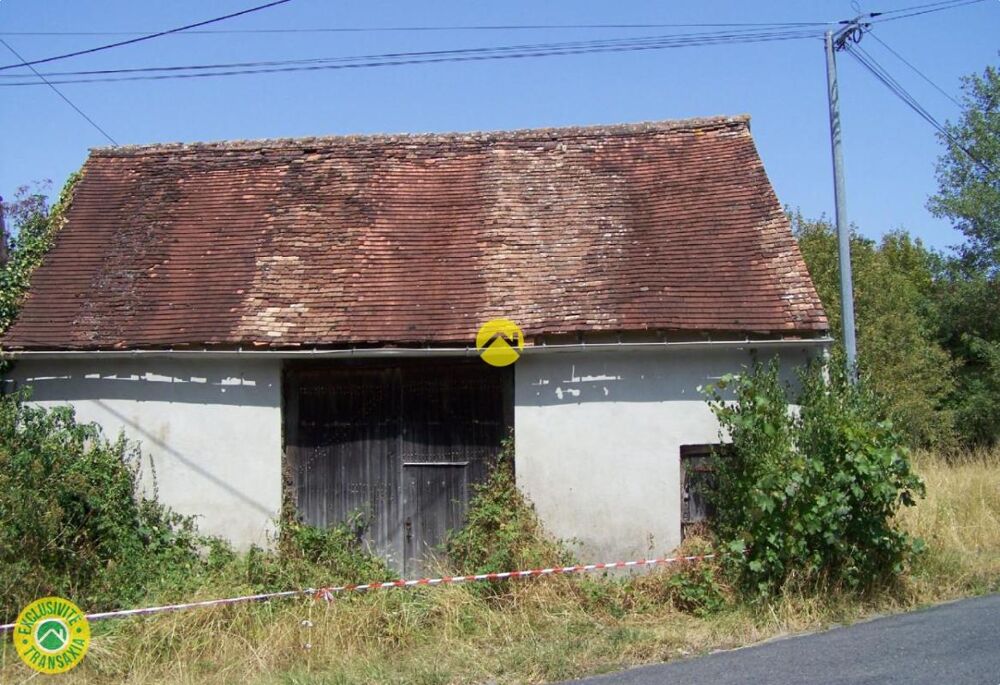 Maison 1 pièce 319 m² · à Lussac les Eglises · 319 m² · 62 500 €