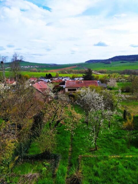  Appartement � louer 2 pi�ces 61 m�