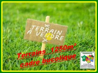  Terrain à vendre 1 pièce 1250 m²