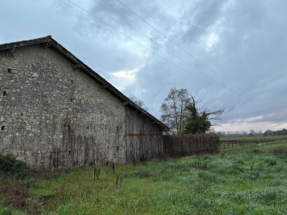 Vente Maison Ancienne ferme girondine à fort potentiel, Pessac sur Dordogne 185 m2 dépendances 300 m2 Pessac sur dordogne