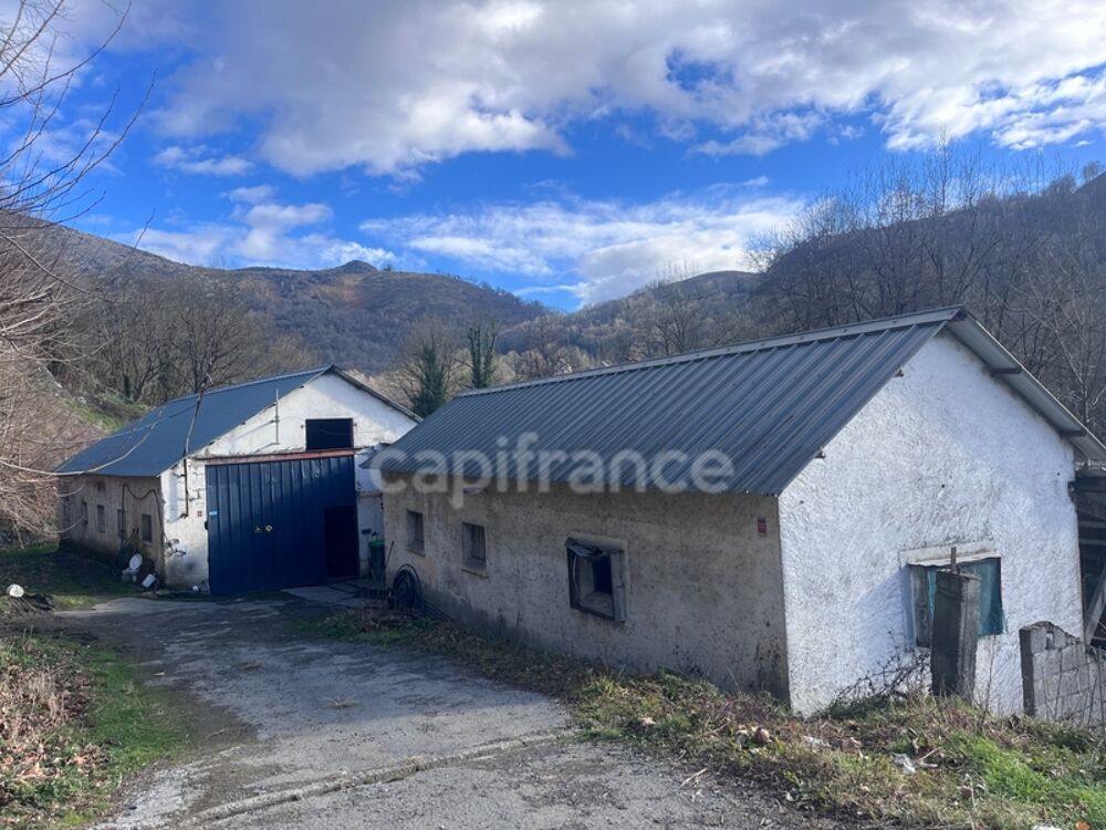 Vente Maison Maison et Hangars entre Lourdes et Argelès-Gazost Argeles gazost