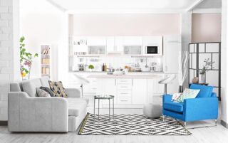  Appartement � vendre 1 pi�ce 38 m�