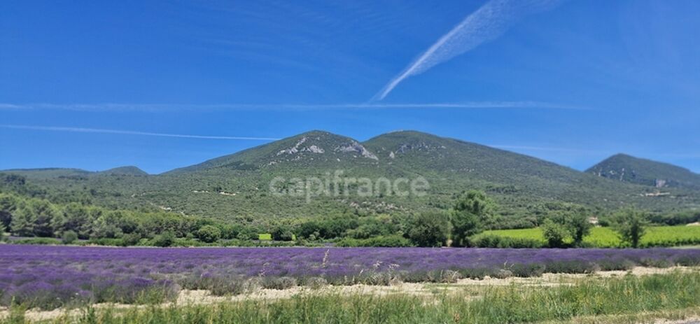 Vente Maison VIAGER OCCUPE - Investissez au coeur d'un site naturel exceptionnel du Luberon ! Rustrel