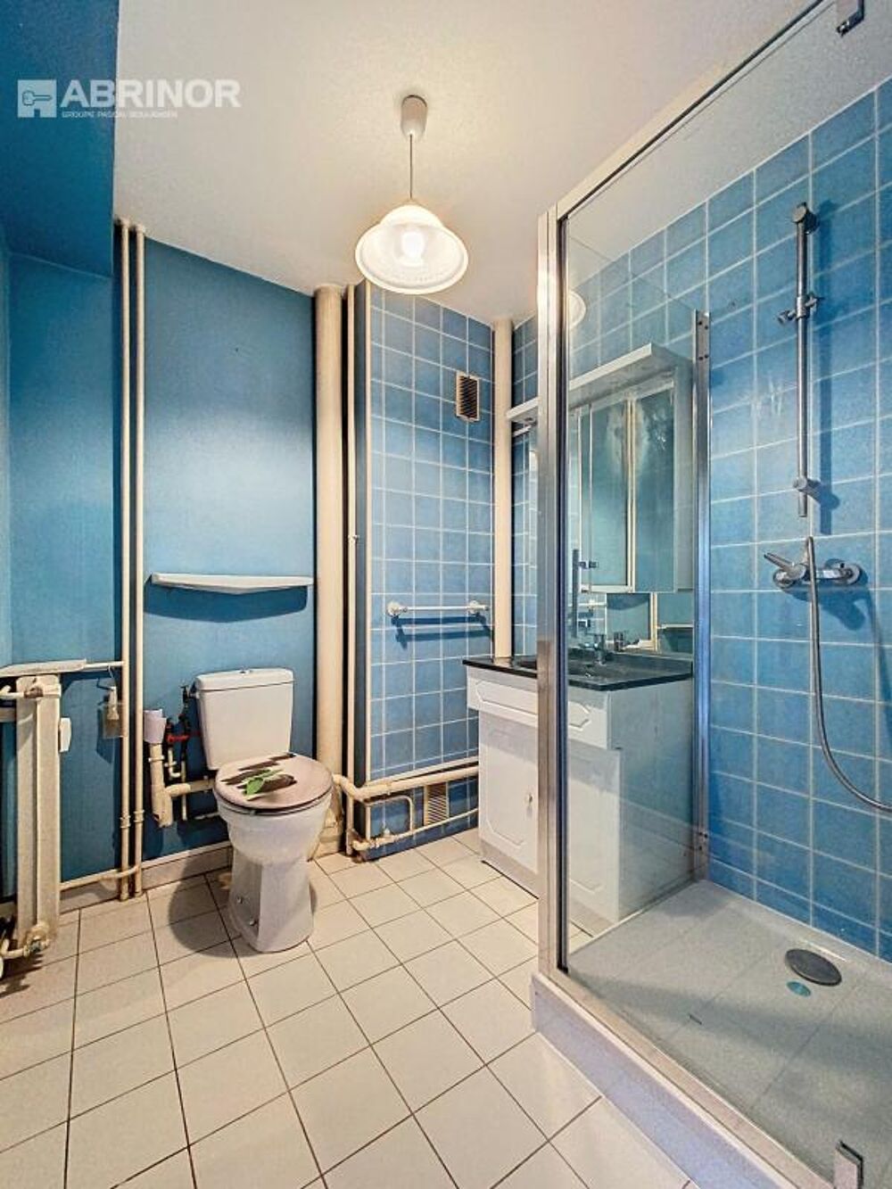 Vente Appartement Appartement T2 - 36m² habitables Faches thumesnil