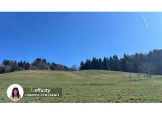  Terrain à vendre 50000 m²