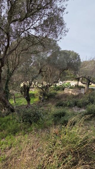  Propri�t�/ch�teau � vendre 420 m�