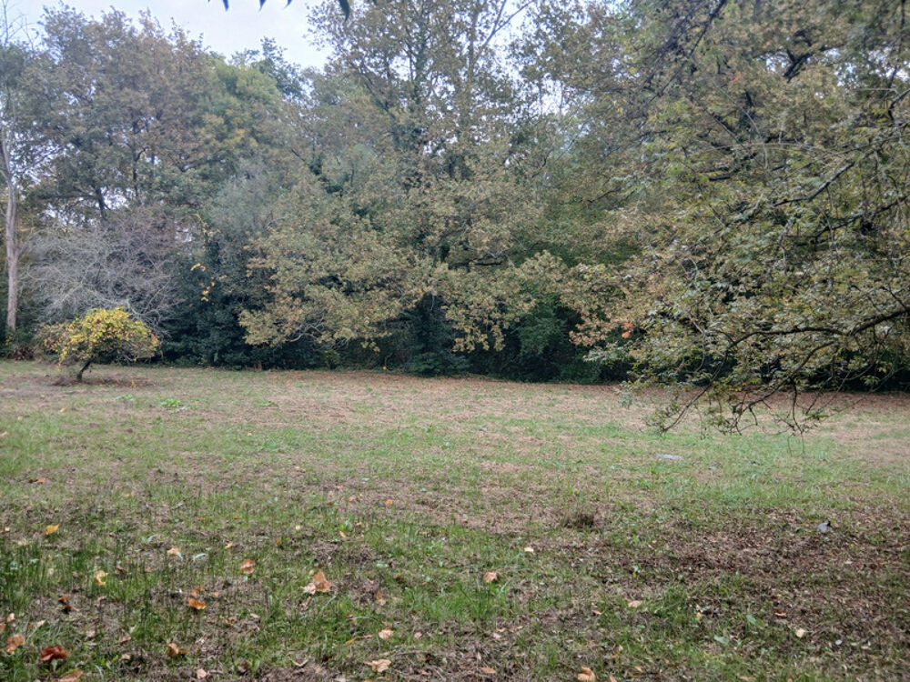 Vente Terrain Grande parcelle à Créon – potentiel de division Creon