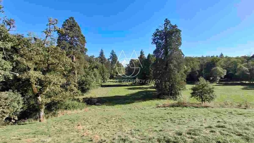 � vendre  Propri�t�/ch�teau Limoges (87000)