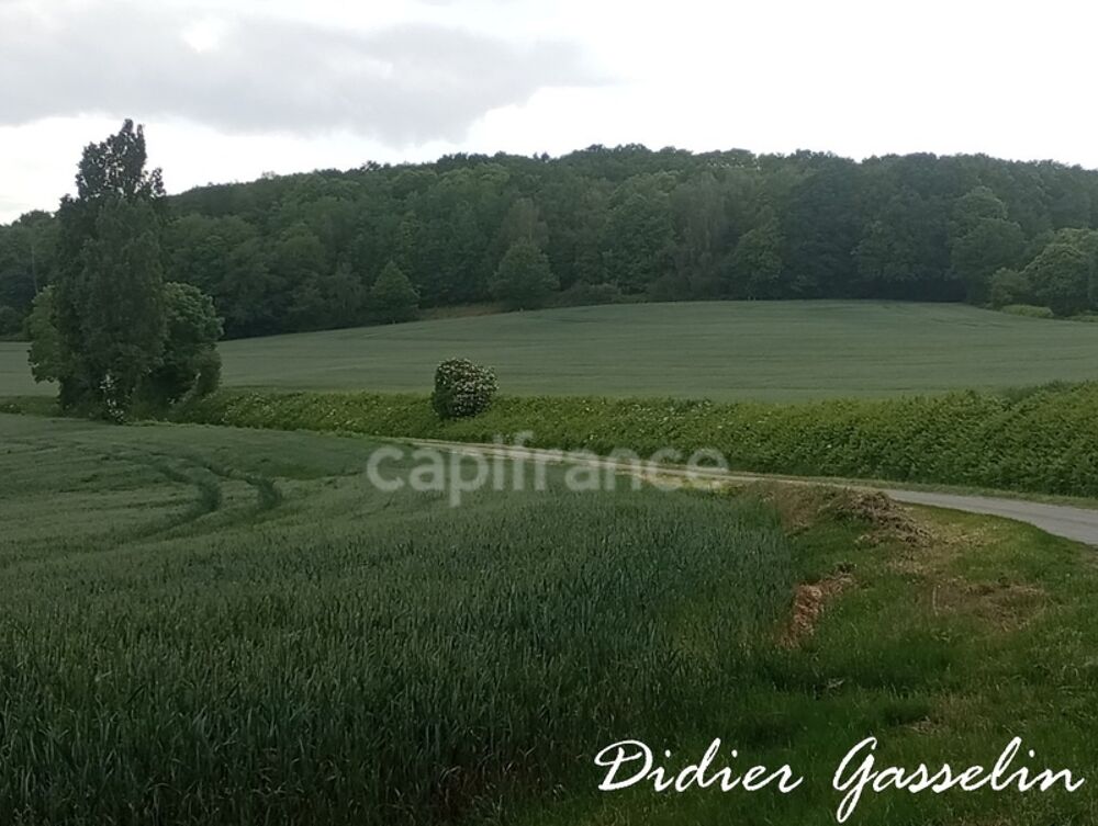 Vente Terrain Terrain à vendre  BRUNELLES (28) Brunelles