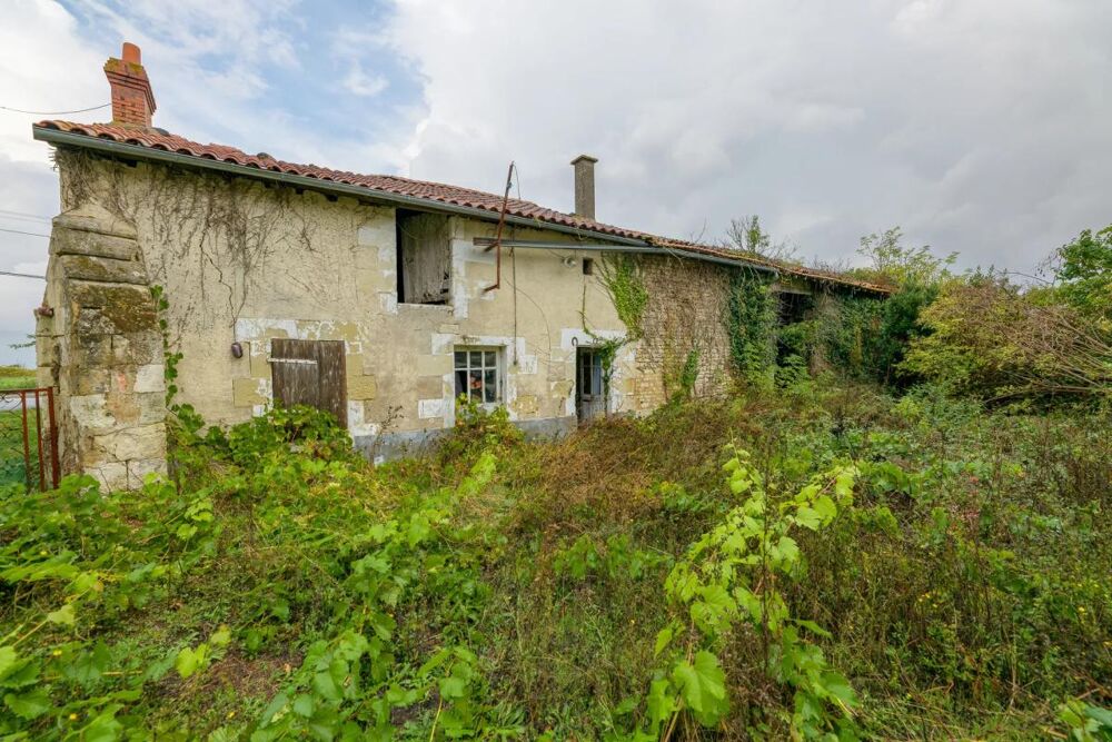 Vente Propriété/Château Projet de rénovation - Authentique bâtisse en pierre à réinventer Ceaux en loudun