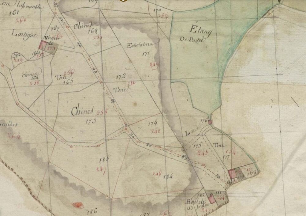  vendre  Proprit/chteau Saint-Martin-de-Seignanx (40390)