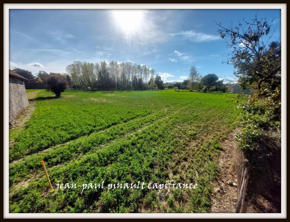 Vente Terrain Dpt Hautes Pyrnes (65),  vendre MOMERES terrain Momeres