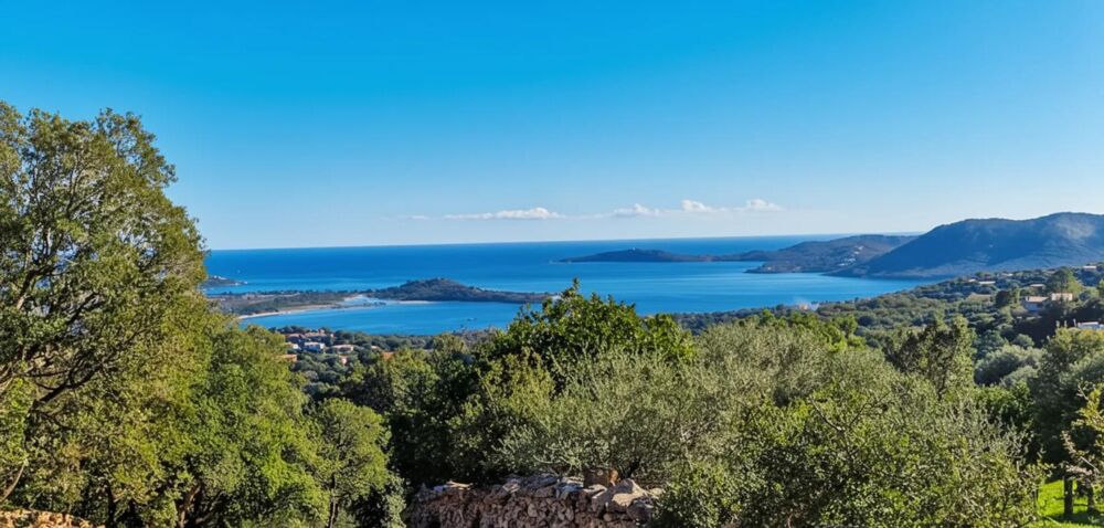 � vendre  Maison Porto-Vecchio (20137)