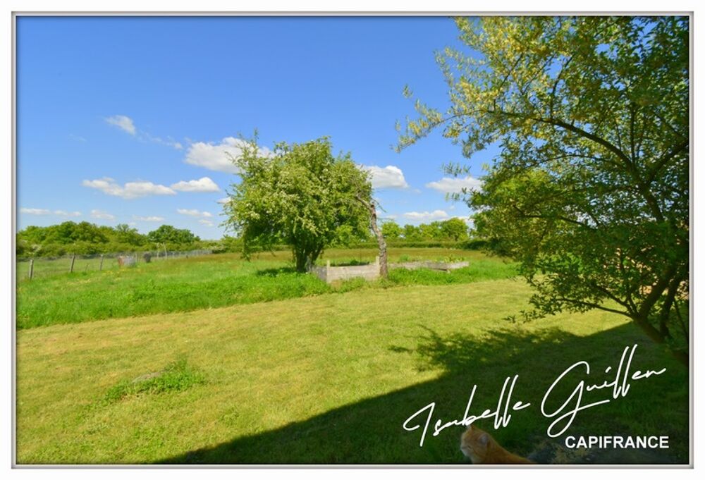 Maison de caractère à vendre 7 pièces MAISONNAIS (18)