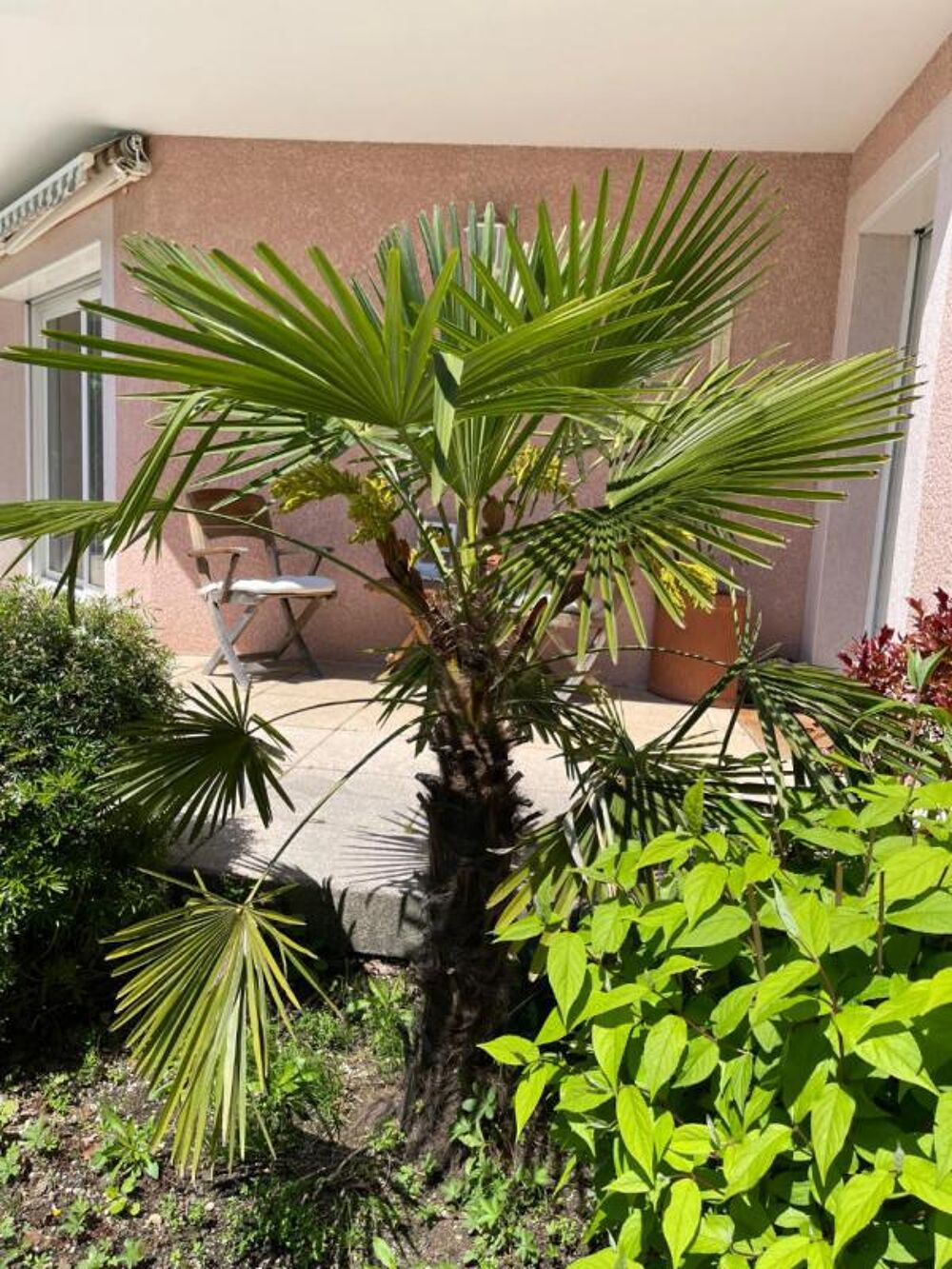  vendre  Maison Prvessin-Mons (01280)