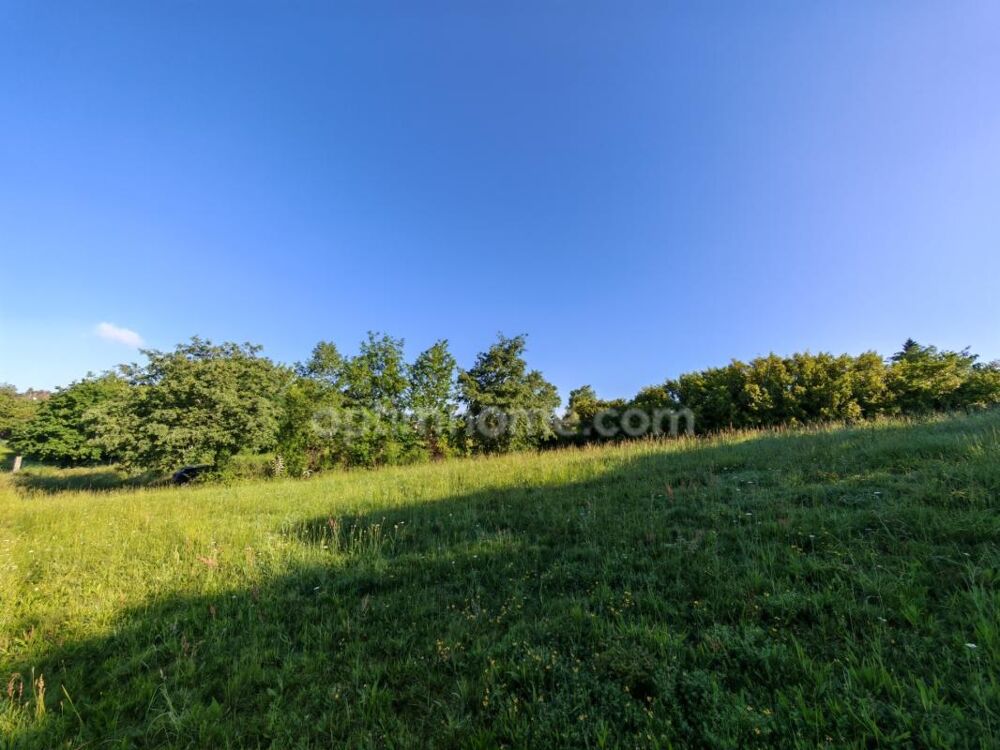 Vente Terrain BAISSE DE PRIX !! Terrain constructible de 1 650m² situé à EAUZE (32) Eauze