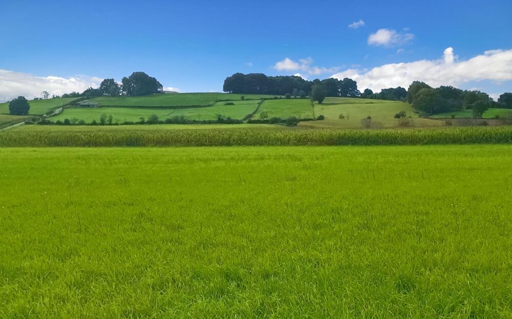 Vente Terrain Terrain constructible 11000 m2 Bidache