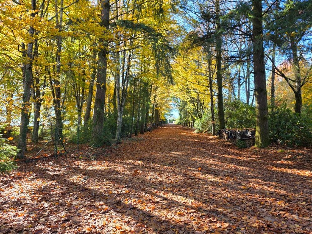  vendre  Proprit/chteau Chteauneuf-la-Fort (87130)