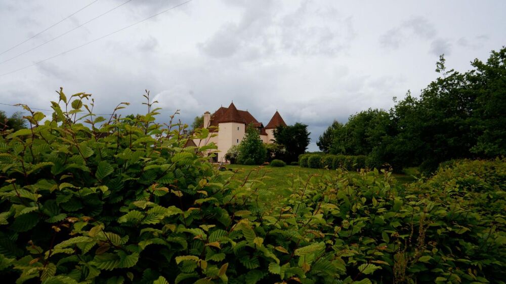 à vendre  Propriété/château Saint-Martin-en-Bresse (71620)