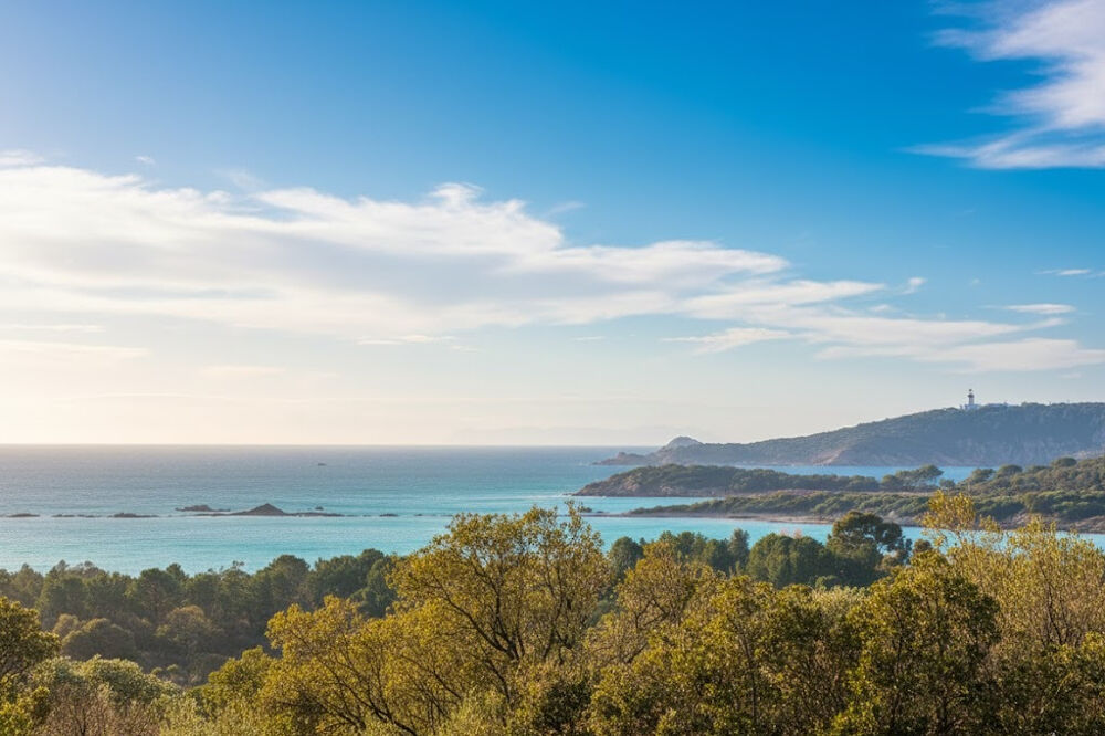 � vendre  Maison Lecci (20137)