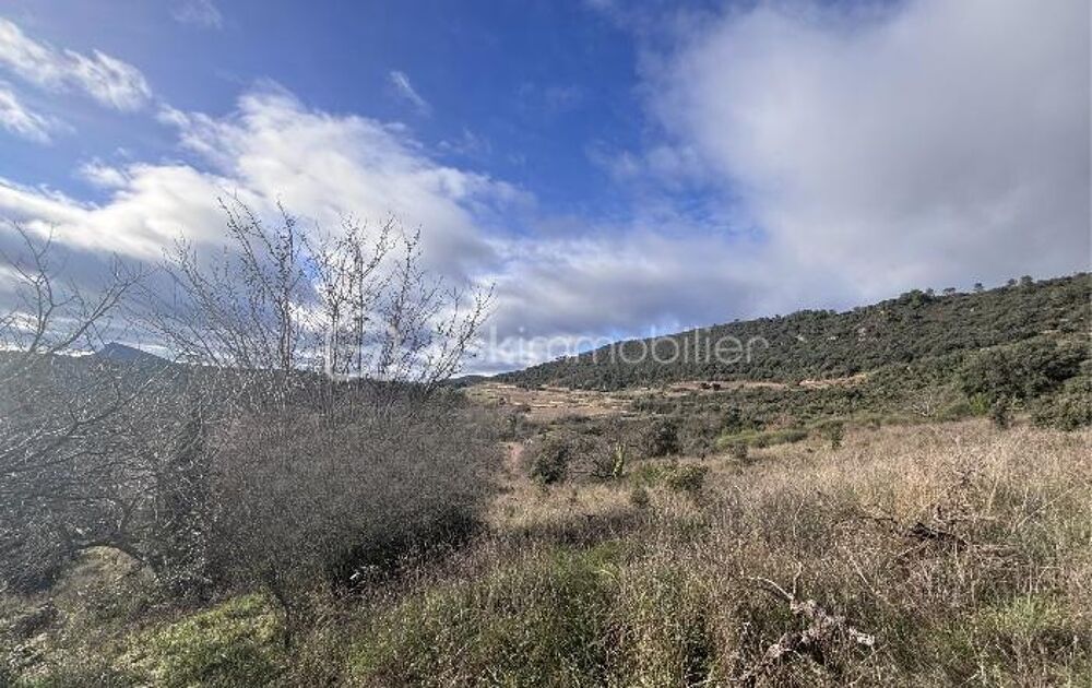 Vente Terrain VENTE TERRAIN DE 5 211m² A CLERMONT L' HERAULT (ZONE NATURELLE) Clermont l herault