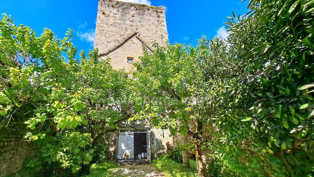 SAUVETERRE DE BEARN (64)