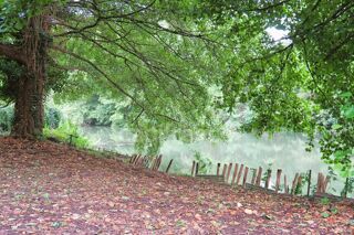  Maison � vendre 3 pi�ces 54 m�