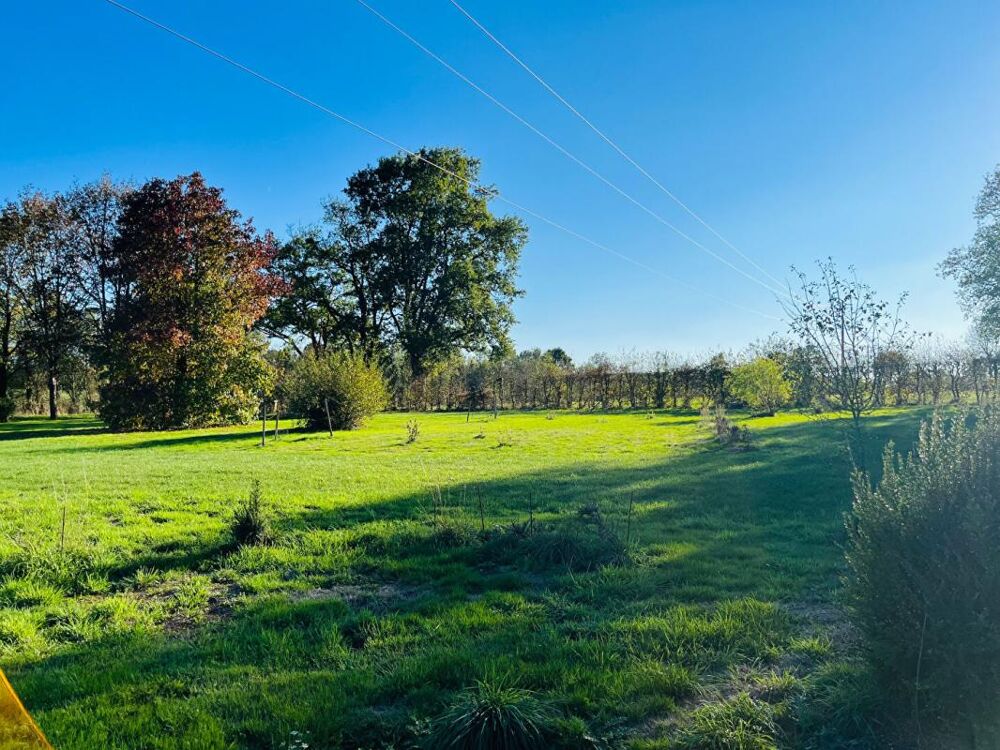 Vente Terrain Terrain de loisirs - Secteur Mortagne sur Sèvre Mortagne sur sevre