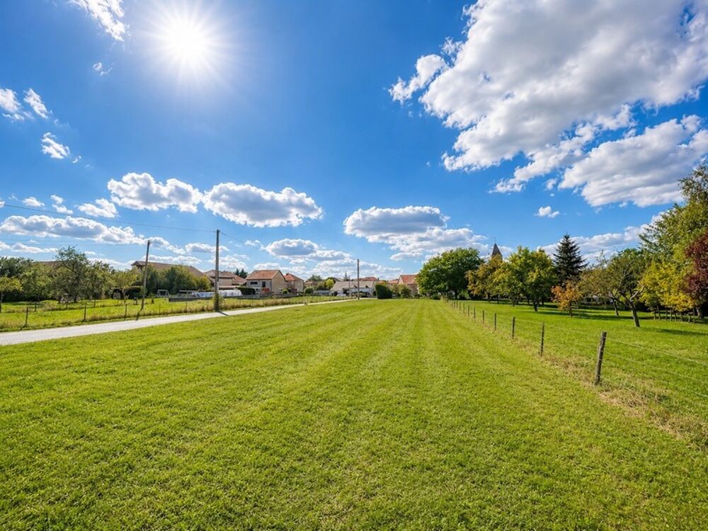 Vente Terrain Terrain 1916 m² viabilisé – divisible – à 3 km de Lorraine TGV Metz