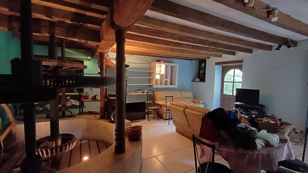 Moulin sur Lignac 9 pièce(s) 240 m2