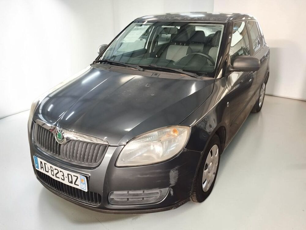 Fabia 1.4 TDI 80 PEP'S 5P 2009 occasion 06640 Saint-Jeannet