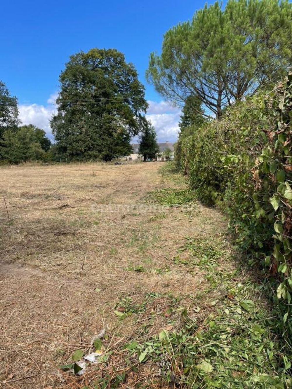 Vente Terrain Belle parcelle arborée de 1 695 m² aux portes des accès 4 voies à Ploërmel Ploermel