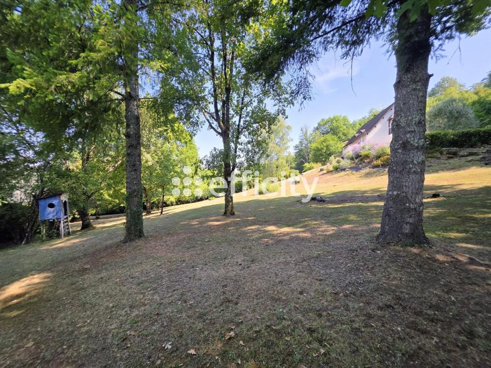 Vente Propriété/Château Demeure Corgnac sur l isle