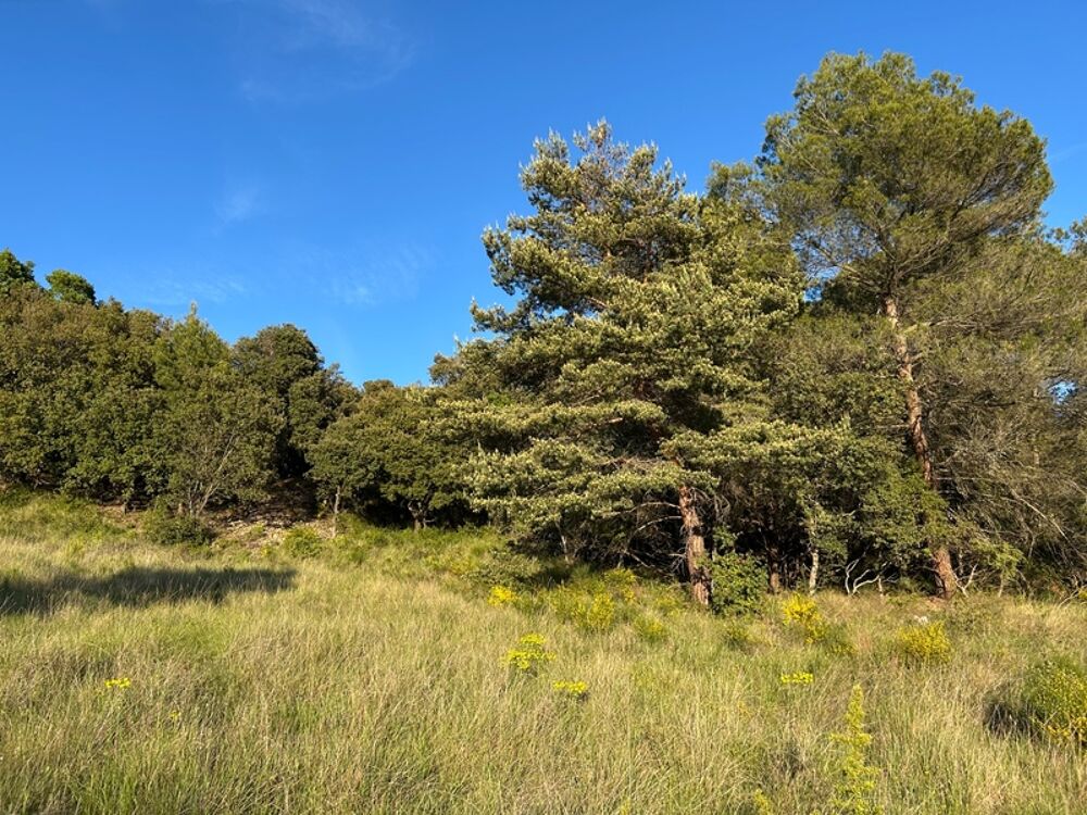 Vente Terrain ? TERRAIN À BÂTIR 2 610 m² – CADRE EXCEPTIONNEL – Baudinard-sur-Verdon ? Baudinard sur verdon