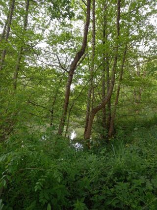  Terrain � vendre 405 m�