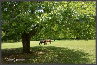  Maison � vendre 4 pi�ces 130 m�