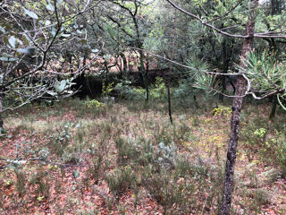  Terrain à vendre 900 m²